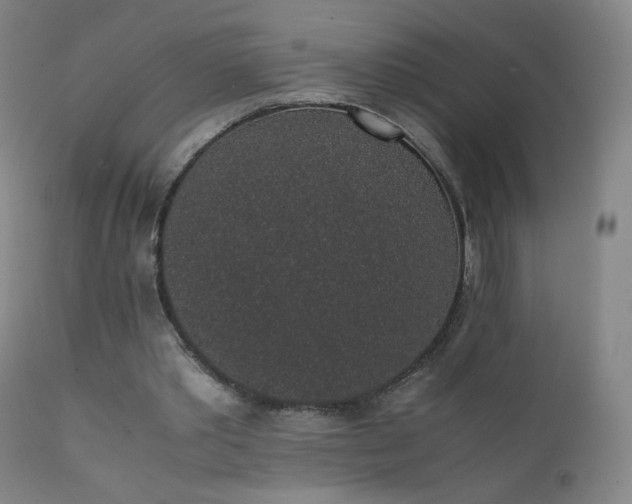 X0000111370389200907171203