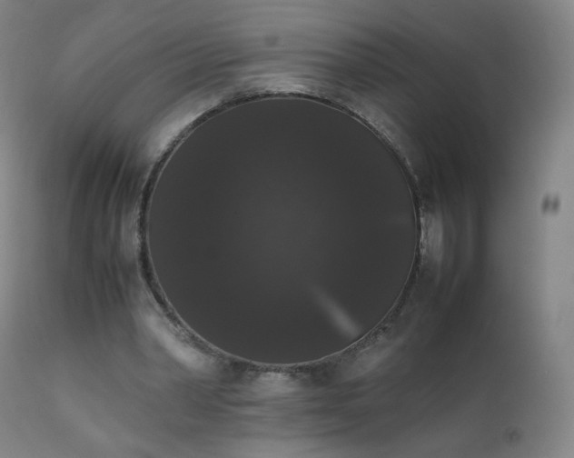 X0000111370390200907171203