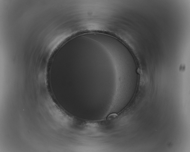 X0000111370391200907171203