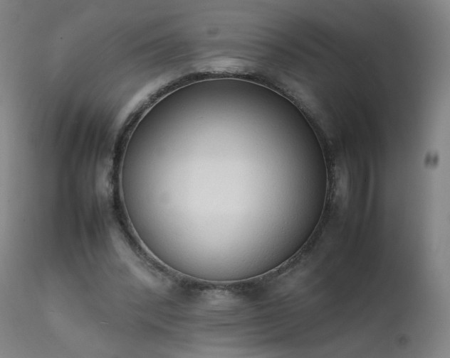 X0000111370392200907171203