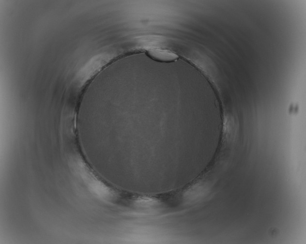 X0000111370397200907171203