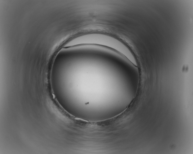 X0000111370399200907171203