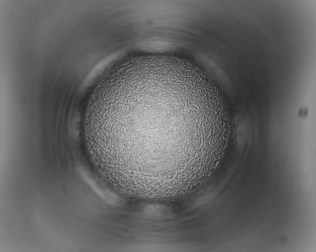 X0000111370400200907171203