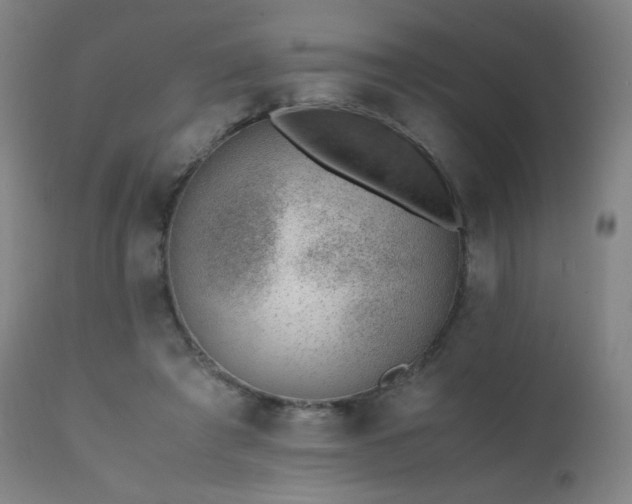 X0000111370401200907171203