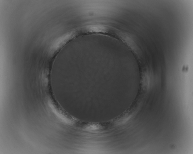 X0000111370402200907171203