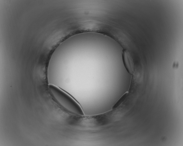 X0000111370403200907171203