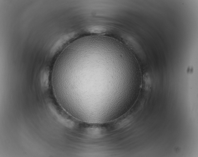 X0000111370404200907171203