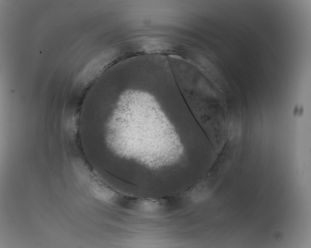 X0000111370405200907171203