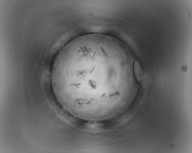 X0000111370407200907171203