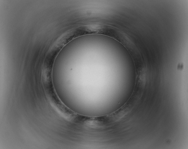 X0000111370408200907171203