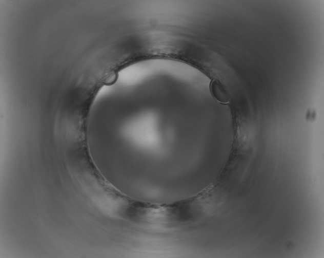 X0000111370411200907171203