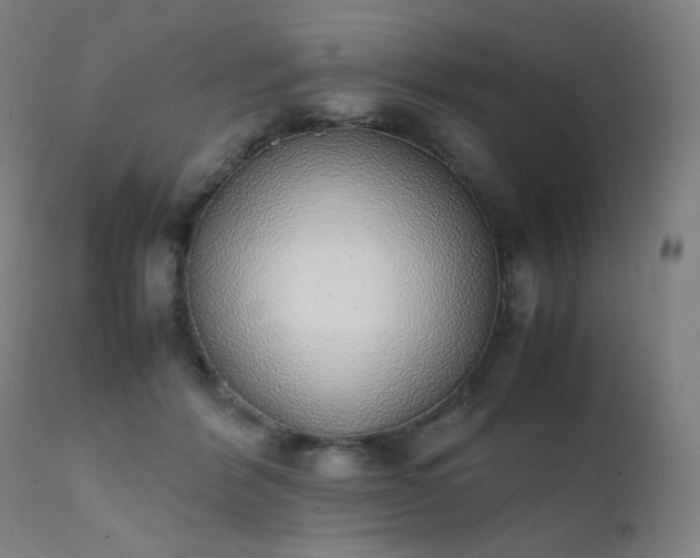 X0000111370412200907171203