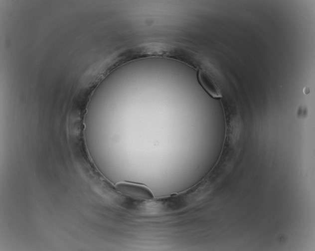 X0000111370413200907171203