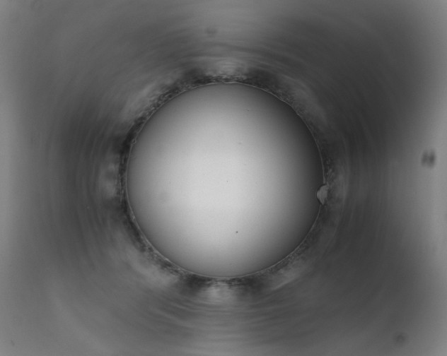 X0000111370416200907171203