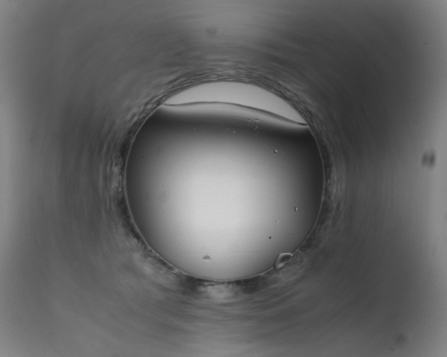 X0000111370417200907171203