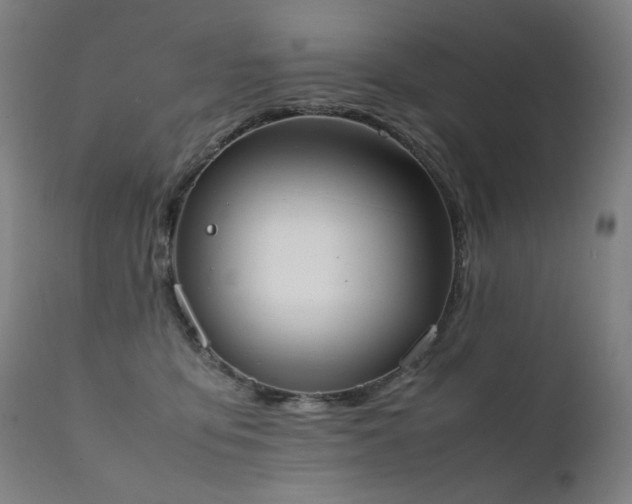 X0000111370419200907171203