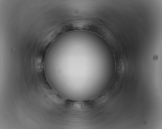 X0000111370420200907171203