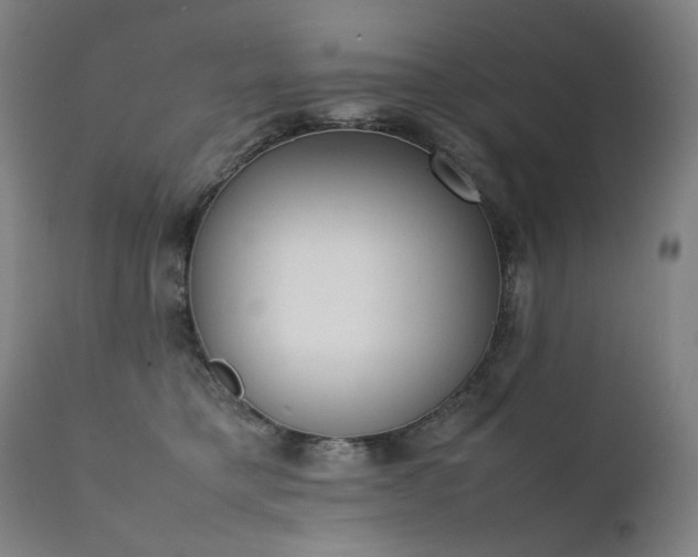 X0000111370421200907171203