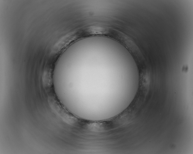 X0000111370422200907171203