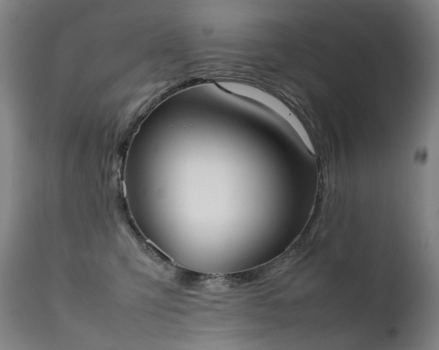 X0000111370423200907171203