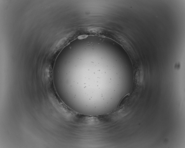 X0000111370424200907171203