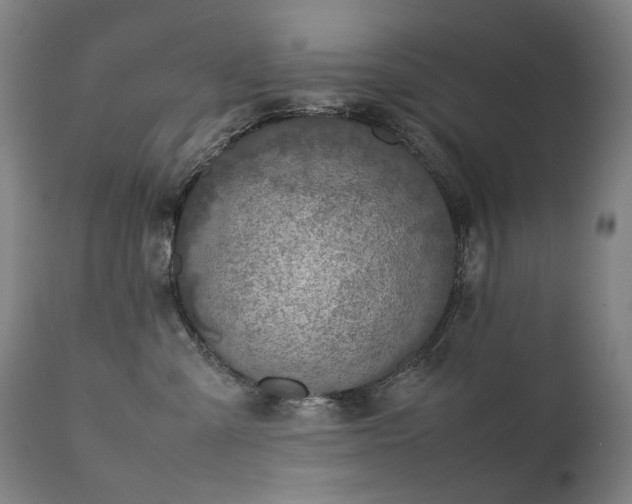 X0000111370427200907171203