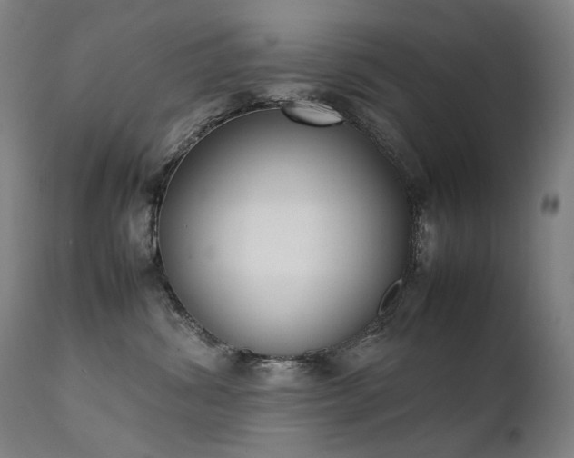 X0000111370428200907171203