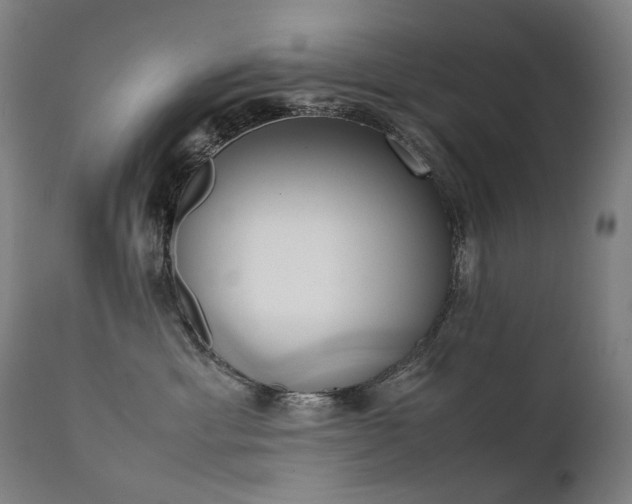 X0000111370429200907171203