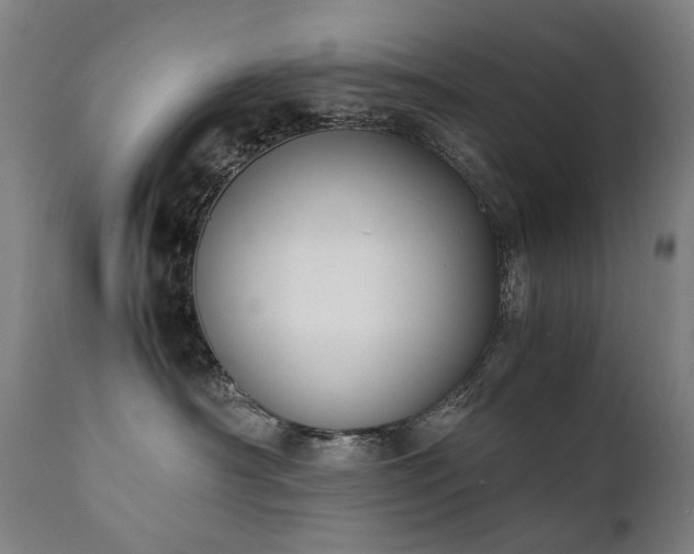 X0000111370430200907171203