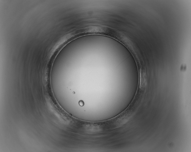 X0000111370435200907171202