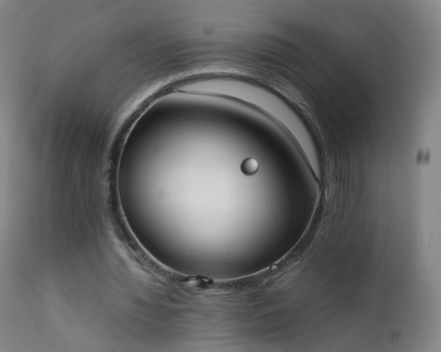 X0000111370436200907171202