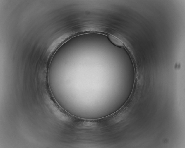 X0000111370437200907171202