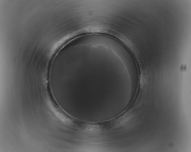 X0000111370438200907171202