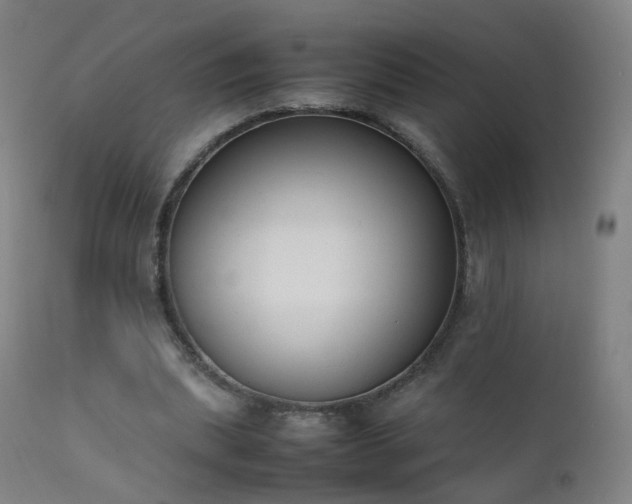 X0000111370439200907171202