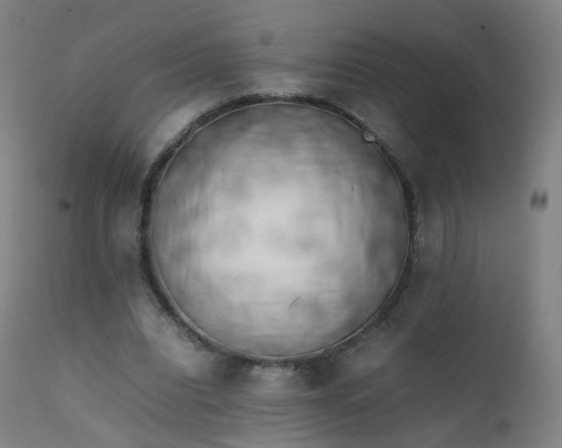 X0000111370440200907171202