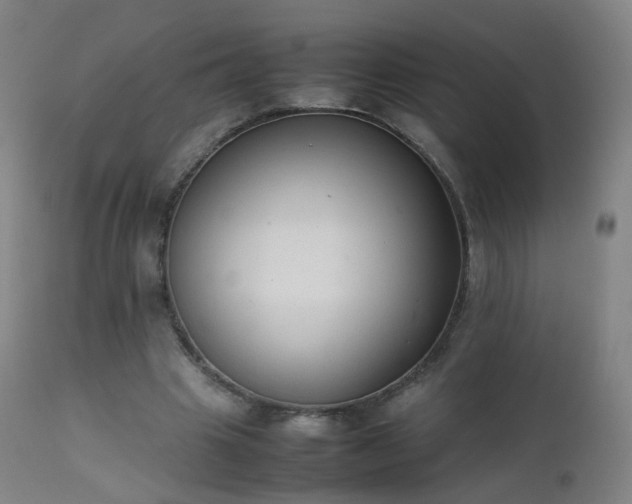 X0000111370441200907171202