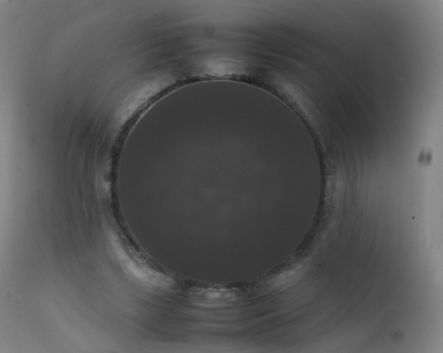 X0000111370443200907171202