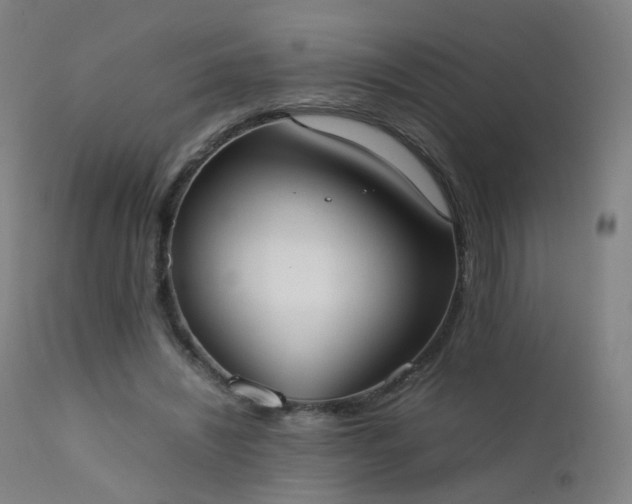 X0000111370444200907171202