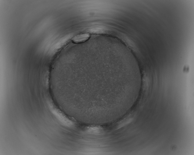 X0000111370446200907171202