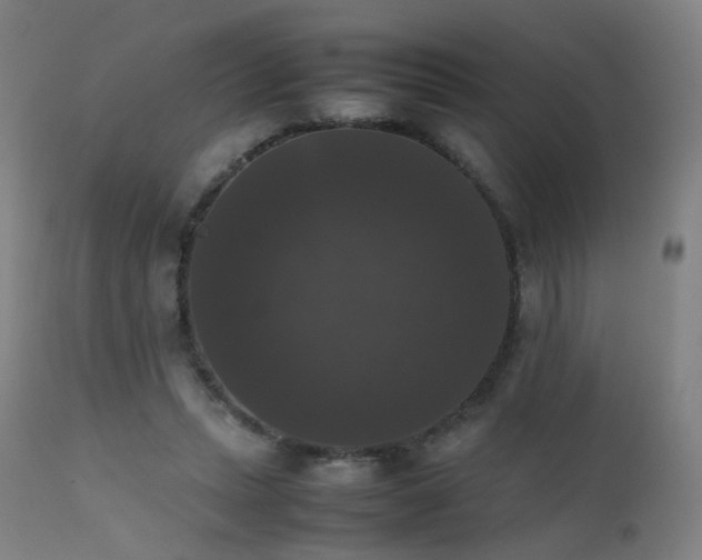 X0000111370447200907171202