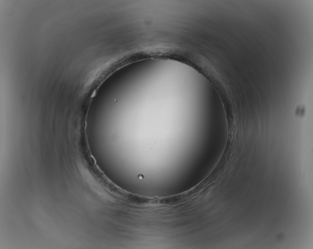 X0000111370448200907171202