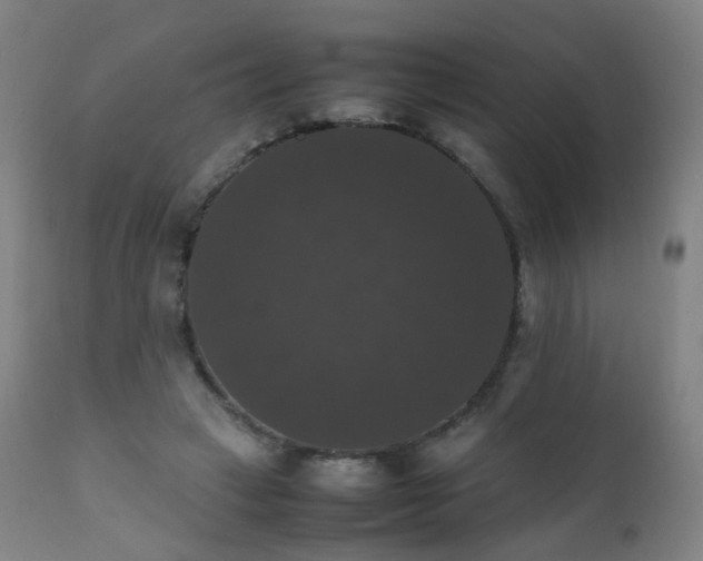 X0000111370449200907171202