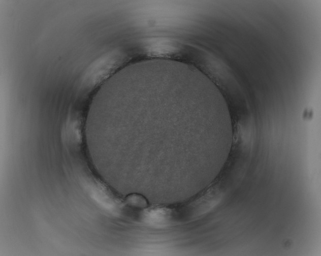 X0000111370452200907171202