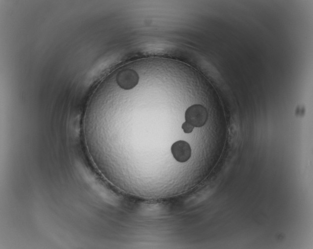 X0000111370454200907171202