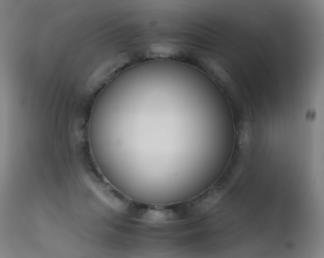 X0000111370455200907171202