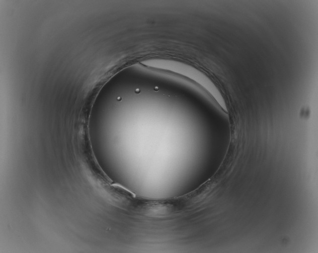 X0000111370456200907171202