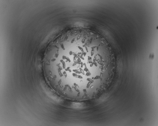 X0000111370457200907171202