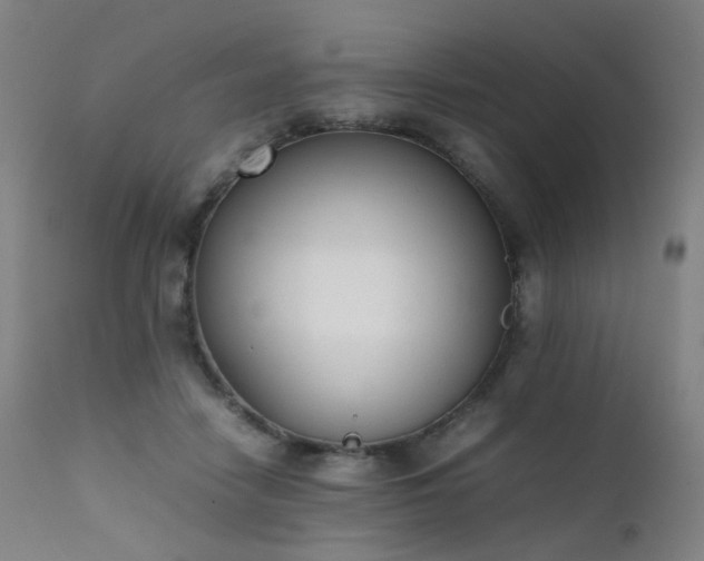 X0000111370458200907171202