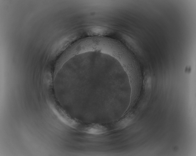 X0000111370459200907171202