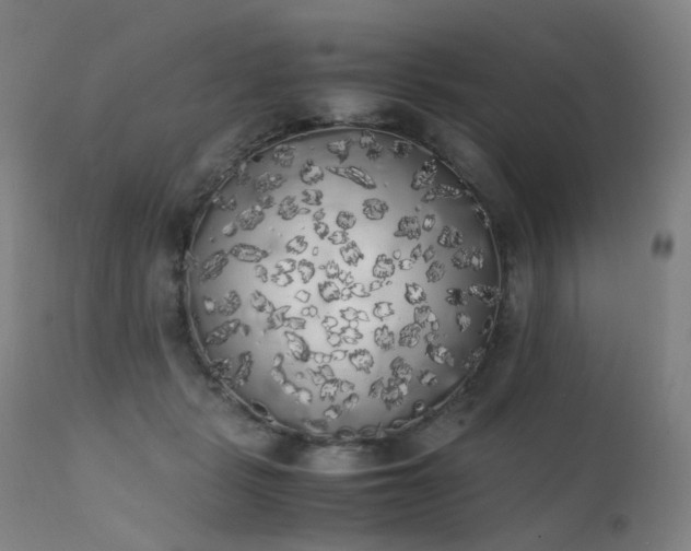 X0000111370461200907171202